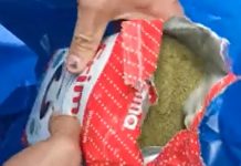 В Бишкеке задержали наркокурьера, который хотел передать гашиш в СИЗО. Видео