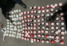 Наркодельцы перевозили метамфетамин в муляжах яблок. СБНОН изъяла 10 кг наркотика