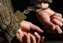 Обманула кыргызстанцев на $1,5 млн. В Грузии задержали организатора финансовой пирамиды «ФИНИКО»