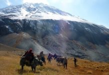 Афганстандагы кыргыздарга гуманитардык жардам жеткирилди