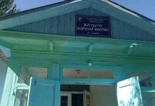 Сузакта тойго келгендер ууланды