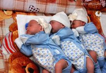 Үч эмдин ысымдары Айсулуу, Айпери жана Ай-Мээрим деп коюлду