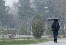 Жолдордо өтө этият болгула!Жол коопсуздугун камсыздоо башкармалыгы эскертүү берди