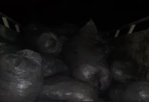 Тажикстанга мыйзамсыз 3 тонна көмүр ташып бараткандар кармалды