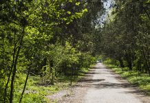 В Ботсаду нашли тело 30-летней женщины