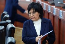 Гульнара-Клара Самат назначена послом КР в Армении по совместительству