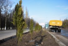 Бишкектин биринчи 700 дарагы электрондук инвентаризациядан өттү