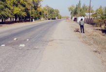 Таласта окуучуну сүзүп, окуя болгон жерде качып кеткен айдоочу кармалды