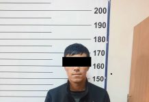 147 даана алманын ичине 10 килограмм метамфетамин каткан адам кармалды