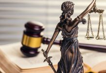 Горячая линия 115. Бесплатная юридическая помощь стала еще более доступной