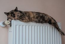 В дома бишкекчан 5 октября начнут подавать тепло