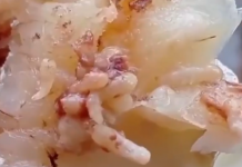 Пациентов «красной зоны» в больнице Токмака кормят рыбой с червями. Видео