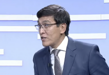 Мекенинде саясий кысымга кабылуу (POLITICAL REFUGEE), КРсы тууралуу абдан жаман маалыматтарды берген адам катары каралат, – Эргешпаева