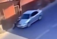 Бишкекчанин отобрал ребенка у жены и протащил супругу на капоте авто