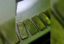 В России задержана крупная партия наркотиков из Кыргызстана