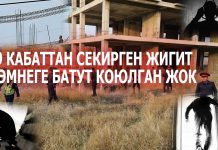 9-кабаттан секирген жигит. Эмнеге батут коюлган жок?