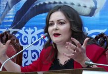 Никитенко: “Шек жараткан кайдагы бир компания биздин стратегиялык маанидеги ишкананы тейлейби?”