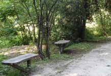 Ботаникалык бактан аялдын жансыз денеси табылды