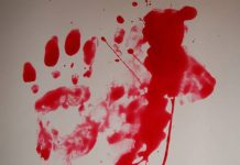 Өзбекстан жарандары “Ермак” футболдук клубунун оюнчусун сабап өлтүрүштү