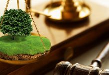 Участок заповедной курортной зоны стоимостью более 117 млн сомов вернули государству