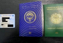 УКМК: Чек арадан мыйзамсыз өттү деген шек менен Өзбекстандын жараны кармалды