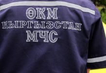 В Бишкеке под мостом нашли труп