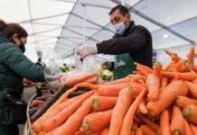 Дем алыш күндөрү айыл чарба жарманкеси өтөт