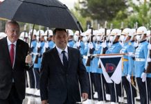 Кыргызстан становится проводником интересов Турции в ЦА, — политолог