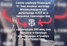 Милиция 50 баштан ашык жылкыны издеп жатат