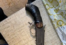 ВИДЕО: Бийликти күч менен басып алууну пландаштырган кылмыштуу топтун ишмердүүлүгүнө бөгөт коюлду