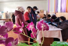 Көлдө суукка байланыштуу 2-3 тилкеде техникалык мүчүлүштүктөр болду