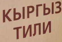 Жаңы мыйзам долбоору боюнча кооптонуу бар, – Удовиченко