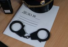 Сузакта 82 баш кой уурдап, Өзбекстанга өткөрүп жиберүүгө шектелген адам кармалды