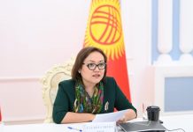 Аида Касымалиева аялдарга кол салуу боюнча жазаларга нааразы