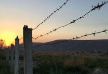 Чек арадагы транзит жолдо катталган окуя боюнча териштирүү жүргүзүлөт