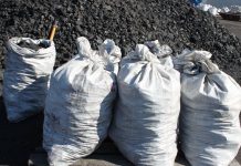 Кандидат в депутаты раздавала уголь малоимущим и заставляла учителей агитировать за нее