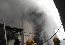 Тилсиз жоо 4 жашар кыздын өмүрүн алды