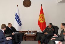 Коргоо министри Алексей Рогов менен жолукту