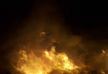 Жүк ташуучу унаа жана 15 тонна өсүмдүк майы толугу менен күйдү