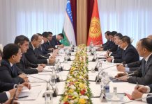 В кабмине обсудили поставку электроэнергии из Узбекистана