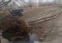 Сильный ветер в Таласе: один человек погиб, в 4-х школах снесло кровлю. Фото