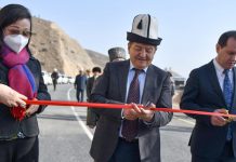 В Кыргызстане открыли два эстакадных моста на альтернативной дороге Север-Юг. ФОТО