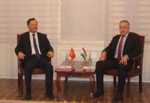 Главы МИД КР и РТ обсудили вопросы границы и защиты прав и интересов граждан двух стран