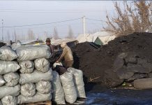 Видео. Где в Бишкеке можно купить уголь по сниженной цене