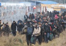 Евробиримдик мигранттарга жардам катары 700 миң евро бөлөт