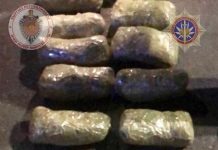 8 килограммга жакын “гашиш” баңгизаты менен Нарындын жашоочулары кармалды, – видео