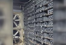 Иностранцы в Ыссык-Ате организовали майнинг-ферму под видом теплицы