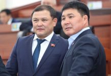 Стали известны фамилии победителей по одномандатным округам на выборах в ЖК. Список