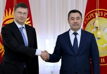 Президент Европа комиссиясынын вице-президенти менен жолукту