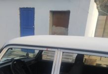 Аксыда адамга ок чыгарган жаран кармалды